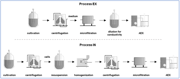 New study shows ecological benefits for enGenes Biotech -e<sup>x</sup>press technology