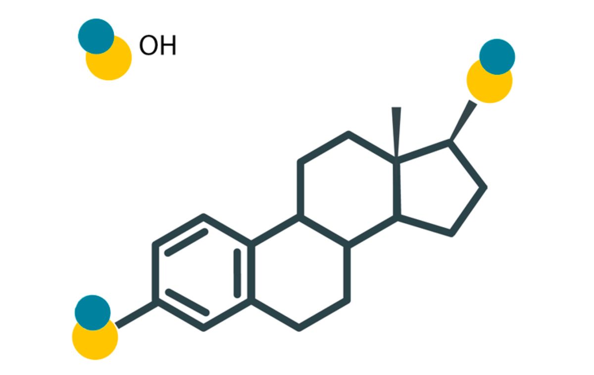 ZELLX® Estradiol ELISA kit
