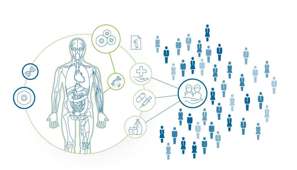 Evercyte – Human cells as innovative EV and protein factories