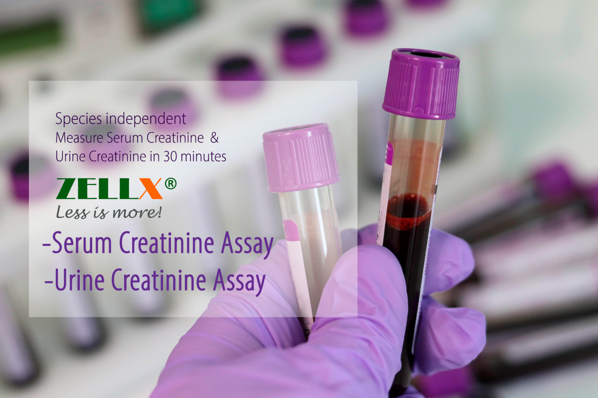 ZELLX® urine and serum creatinine assay kits
