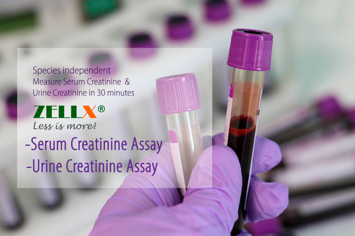 50628ZELLX® urine and serum creatinine assay kits