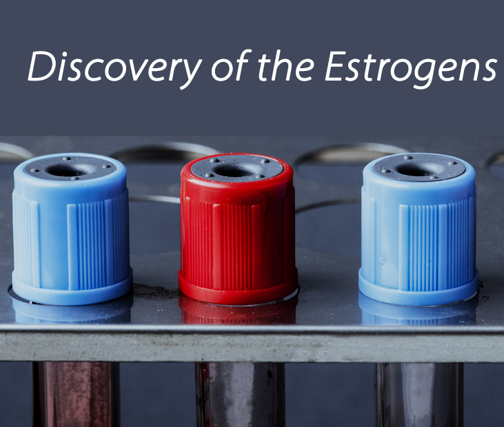 ZELLX® Estrogen assay kits