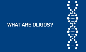 What are oligonucleotides?