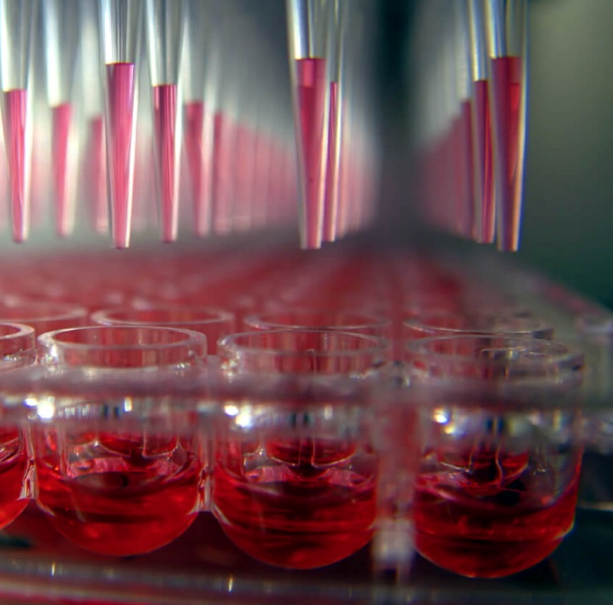 Brinter® bioprinting applications in regenerative medicine
