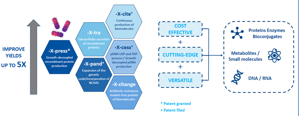 Cost-effective recombinant protein production with enGenes X-Press