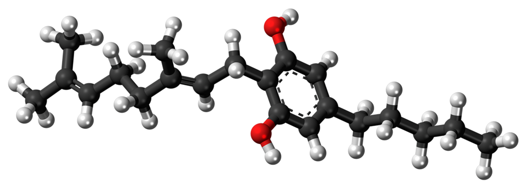 Introduction to Cannabigerol (CBG)