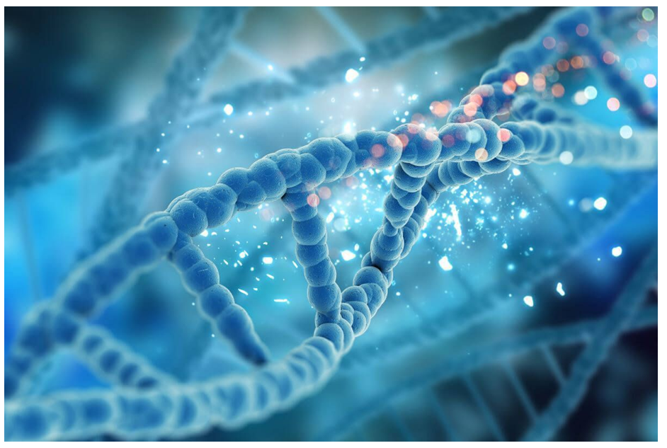 Bachem Cell-Penetrating Peptides (CPPs) as delivery systems for Oligonucleotides