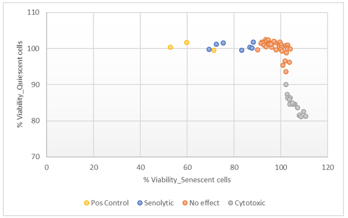 52002Evercyte human cells as in vitro test systems