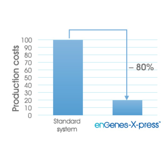 enGenes development and manufacturing support