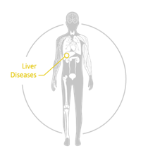 TAmiRNA hepatomiR® kit CE-IVD