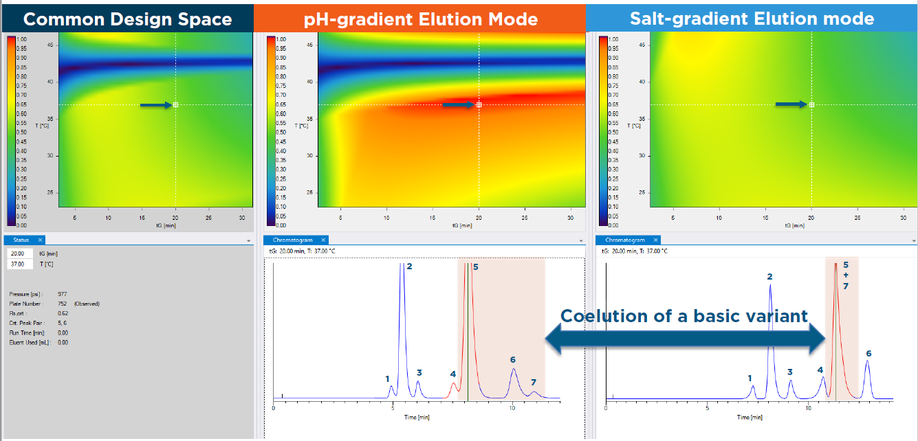 Combination method for ion exchange (IEX) separations of MAbs