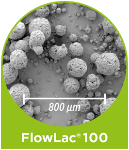 Scanning electron microscope (SEM) image FlowLac 100