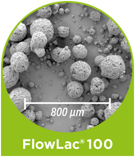 Scanning electron microscope (SEM) image FlowLac 100