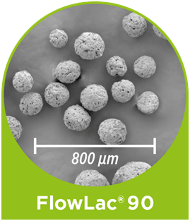 SEM image of FlowLac® 90