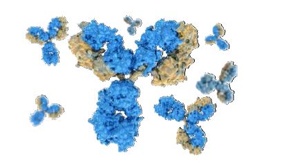 Monoclonal Antibodies