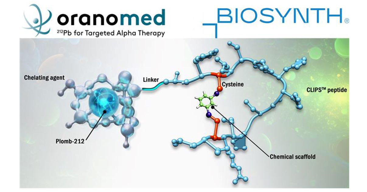 Orano Med Teams Up with Biosynth to Develop Their Next Targeting Vector for Radioligand Therapies