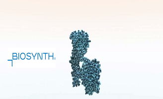 Epitope Mapping