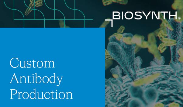 Custom Antibody Production