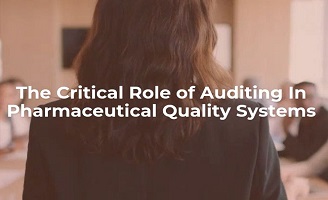 Auditing for Quality Excellence