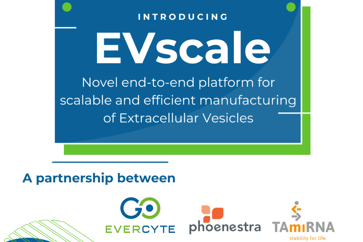 Evercyte teams with Phoenestra and TAmiRNA to offer EVs at scale