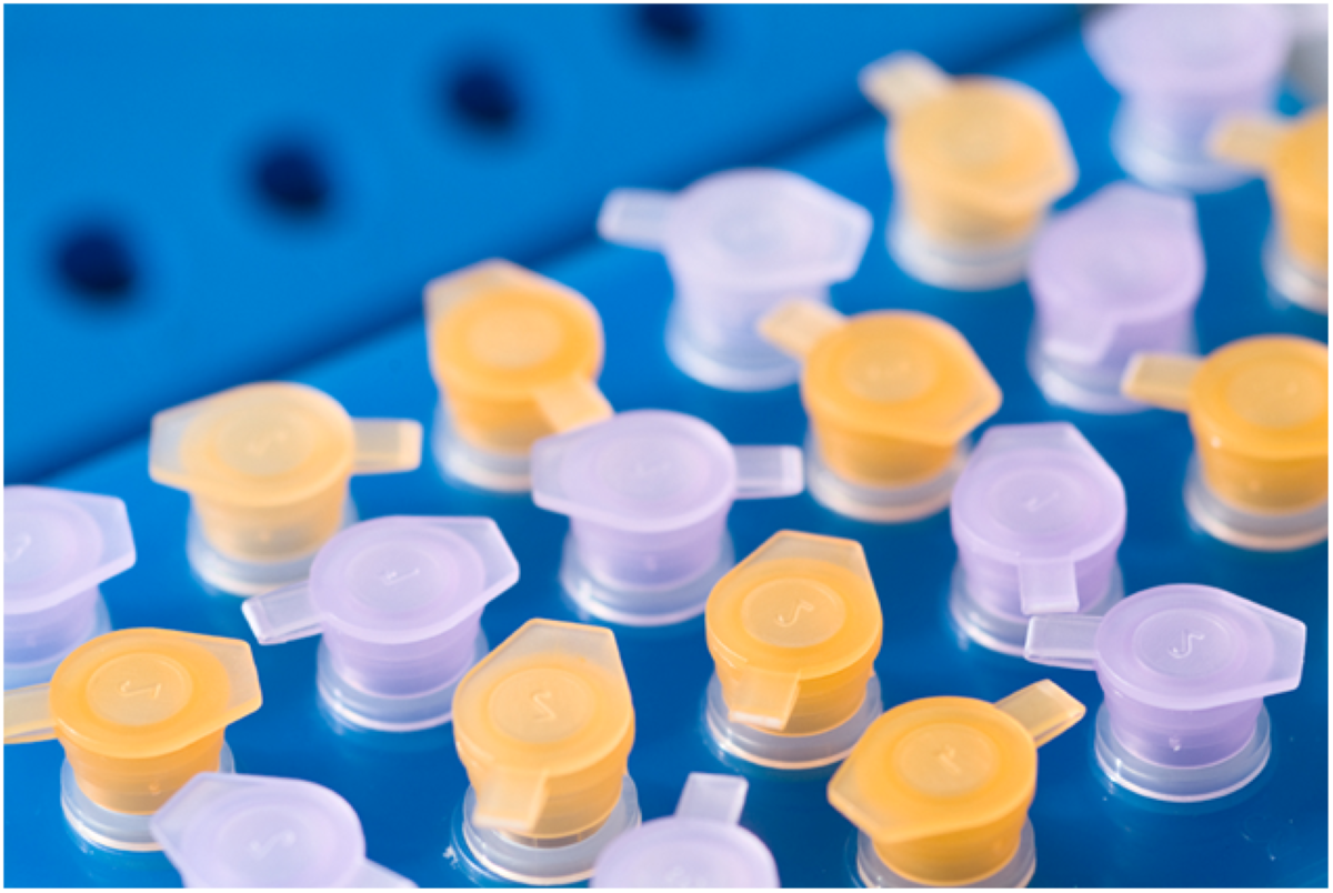Artes and basic pharma near rhsa protein production