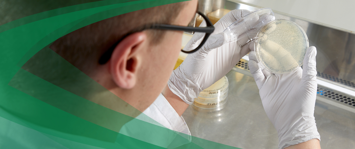 Bringing microbial CDMO services to BIO International 2025 in Boston
