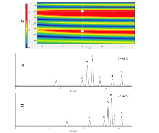 Novel ion-pair reversed-phase IP-RPLC method for separating oligomers
