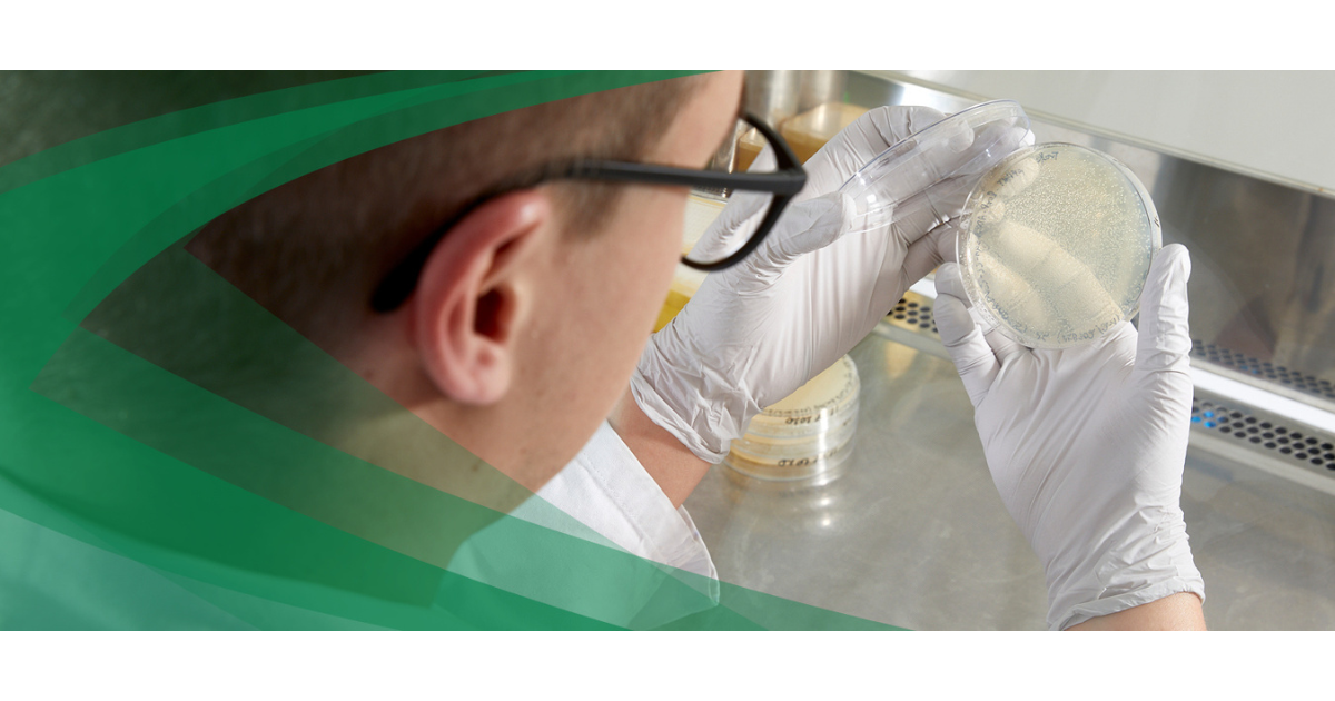 Microbial CDMO Services – How to Find the Right Partner for Cell line and Process Development in Yeast and E. coli