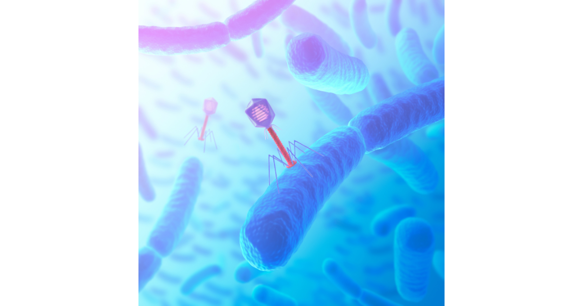 Bacteriophage Contamination in Fermentation – Your Questions Answered
